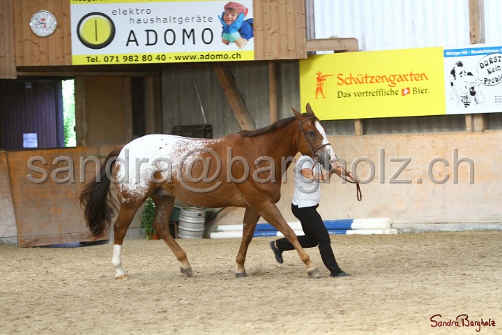 24-ApHC HIH_066.jpg